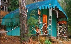 Potter Hill Shimla 3*